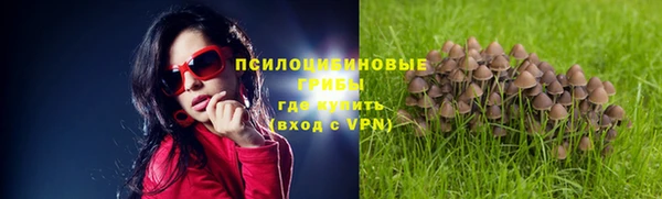 стафф Михайловка