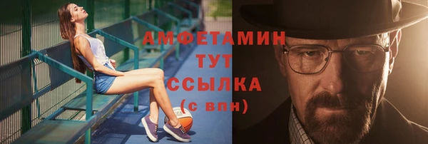 индика Вязьма