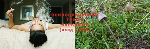 ALPHA PVP Михайлов