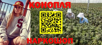 гашик Кинель