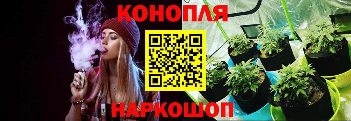 МЕФ Рубцовск
